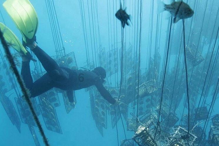 造物法则