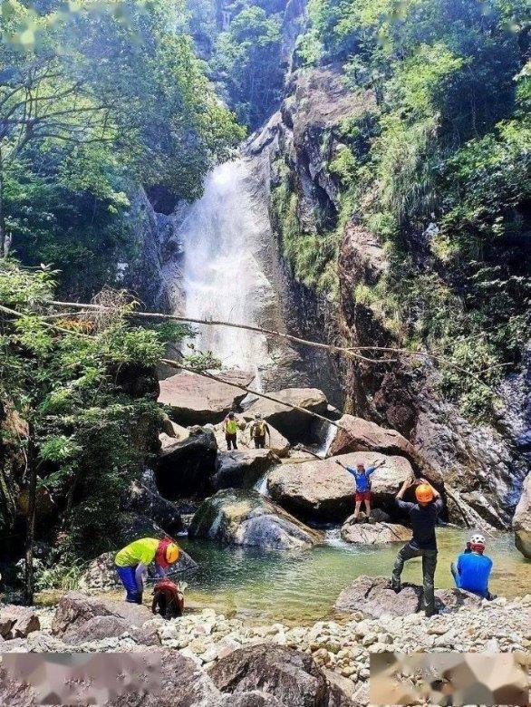 小猫钓鱼游戏龙王版有船