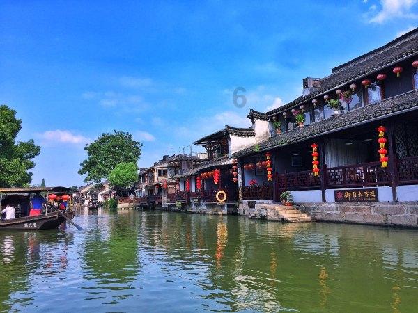 矮化密植大樱桃抢“鲜”上市了